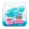 Pets Alive Gyvi gyvūnai – „Swimming Axolotl“ (9556UQ1)