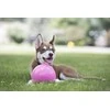 Jolly Pets – Ball Bounce-n Play 20cm Rožinė (burbulinės gumos kvapas) – (JOLL068M)