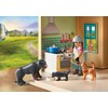 Konstruktorius Playmobil Waterfall Ranch 71351, plastikas