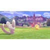Nintendo Switch Pokemon kardas