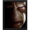 E Druk Pyramid HARRY POTTER (HARRY VS VOLDEMORT) - FRAMED