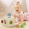Quercetti - PlayBio Kubo Shape Sorter - (QU-80240)