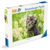 Ravensburger Dėlionė 500 vnt. - Kačiukas pievoje