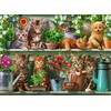 Ravensburger – dėlionės katės lentynoje 500p (12000205)
