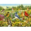 Ravensburger Dėlionė 500 vnt. - Paukščiai pievoje