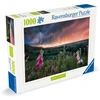 Ravensburger Dėlionė 1000 vnt. - Audra