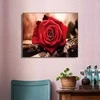 Realprices Deimantinės dailės deimantinio siuvinėjimo mozaikos rinkinys 5D drobės rėmelis 20x30