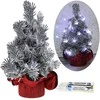 Realprices Kalėdų eglutės dekoratyvinės LED lemputės, dirbtinis sidabrinis ornamentas, 20 cm