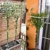 Realprices Sodo pergolės terasos metalinė atrama vijokliniams augalams, rožėms, 50x10 cm, baltos spalvos
