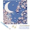 Realprices Tapyba skaičiais paveikslas su rėmeliu „pasidaryk pats“ rinkinys teptukai dažų drobė 20x20