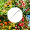 Realprices Vaisių rinktuvas su teleskopine rankena, 400 cm, 4 antgaliai