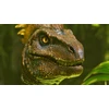 Game Solutions 2 Snail Games Usa ARK: Survival Ascended PS5