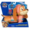 Spin Master Paw Patrol Liberty Feature Plush (6075068)