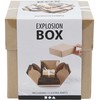 Creative Toys Sprogimo dėžutė – ruda (25380)