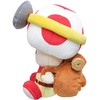 Super Mario- Kapitonas Toad