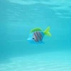 Swims Plaukimai – Rainbow Reef Beta Fish – (6072503)