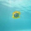 Swims Plaukimai – Rainbow Reef Zebra Fish – (6072505)