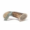 Taki - Elnio ragas XL 18 cm - (01-608)
