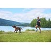 Top Dog Bėgimo diržas „Non-Stop Canix 2.0“ – juodas – S