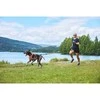 Top Dog Bėgimo diržas „Non-Stop Canix 2.0“ – juodas – M