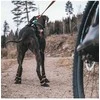 Top Dog Non-Stop - Apsauginiai batai - L - 4 vnt