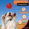 X-Bionic Bionic - BIONIC Ball - Oranžinis - Small 5.8cm