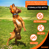 X-Bionic Bionic - BIONIC Urban Stick - Small - 20cm