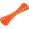 X-Bionic Bionic - BIONIC Urban Stick - Small - 20cm