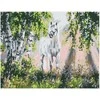 Omaart Miško gyventojas