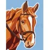 Omaart Arklys