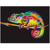 Omaart Chameleonas