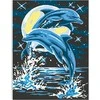 Omaart Naktiniai delfinai
