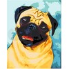 Omaart Linksmas mopsas