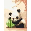 Omaart Gera panda