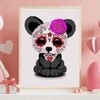 Omaart Muerto 1