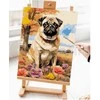 Omaart Mopsas