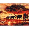 Omaart Safari