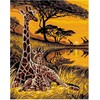 Omaart Safari