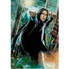 Omaart Severus Snape 50x35