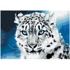 Omaart Sniego leopardas 35x50