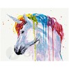 Omaart Unicorn 1