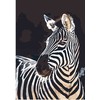 Omaart Zebras 50x35