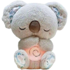 Migdukas Dreamy Koala