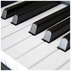 V-TONE BL-8808 BK digital piano for learning USB MIDI juodas