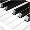V-Tone V-TONE BL-8808 WH skaitmeninis pianinas mokymuisi su USB MID