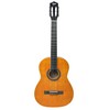V-TONE CG TWO YL klasikinė gitara 4/4 natural dr
