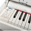 V-TONE DP-88 WH baltas skaitmeninis pianinas su stovu