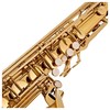 V-TONE TS 100 tenorinis saksofonas su dangteliu