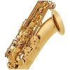 V-TONE TS 100 tenorinis saksofonas su dangteliu