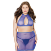Coquette Dreamgirl Plus Size Fishnet Top &amp; Skirt Set with Leopard Detail
